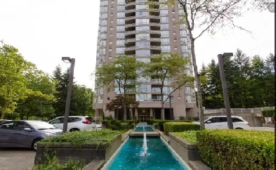 Room available for rent