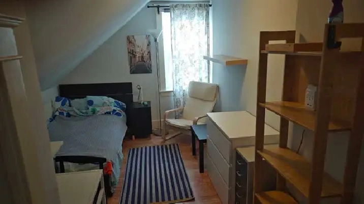 Really nice, warm and cozy, room for rent, all in