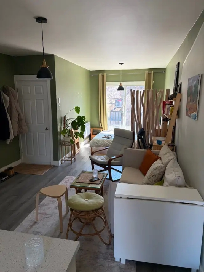 3 ½ STYLE LOFT ULTRA LUMINEUX – VILLERAY | MÉTRO FABRE & JARRY |