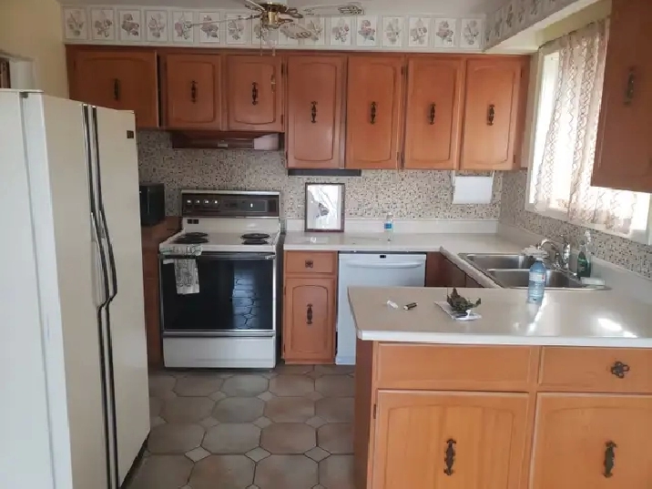 Two separate rooms for rent near Humber collage