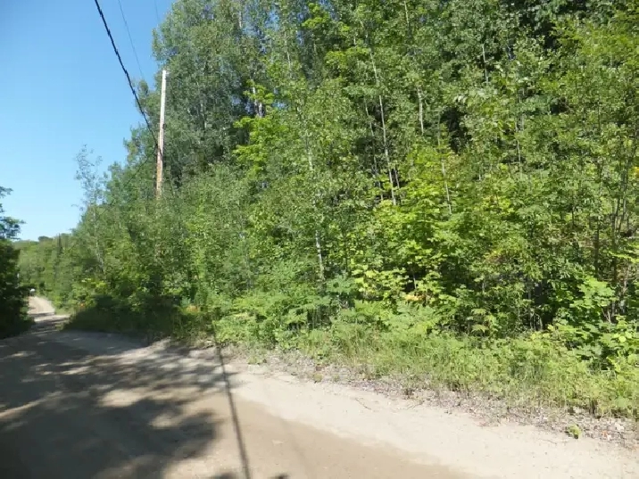 7.5 Acres Haliburton with Financing $1,170 per month