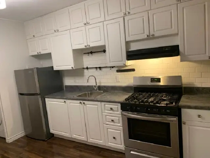 Large 1 Bedroom in Little Italy