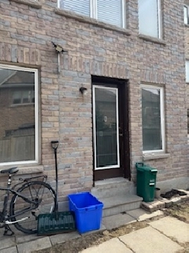 Newmarket 1 BR Walkout Basement Apartment for Rent