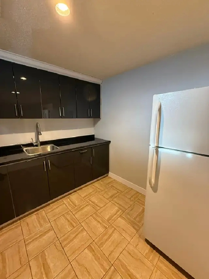 Spacious Basement Fully Renovated for Rent Available Immediately