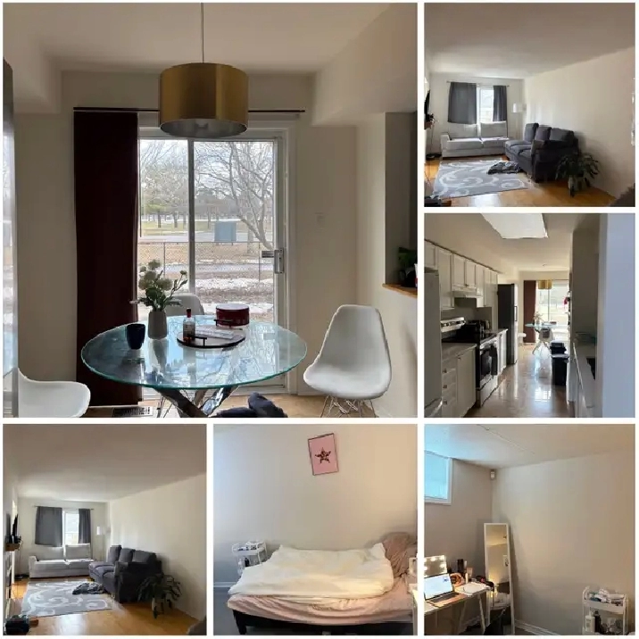 Female Student Summer Sublet (May-August) $750 OBO