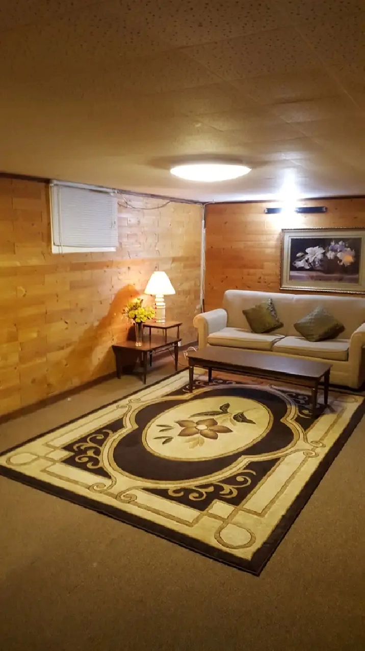 1 Bedroom basement Apt. available from May 1st, 2026 in REXDALE