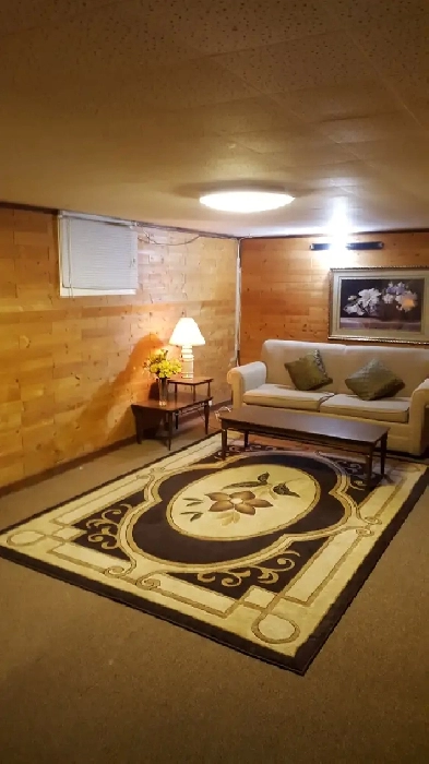 1 Bedroom basement Apt. available from May 1st, 2026 in REXDALE