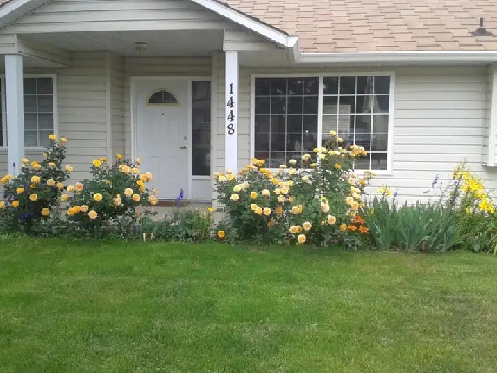 5 Bed 4 Bath 1900 Sq.Ft. Down Town Kelowna