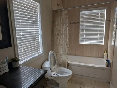 A female partner to share a bedroom in downtown Brampton