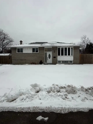 Upper Detached Bungalow for Lease Brampton
