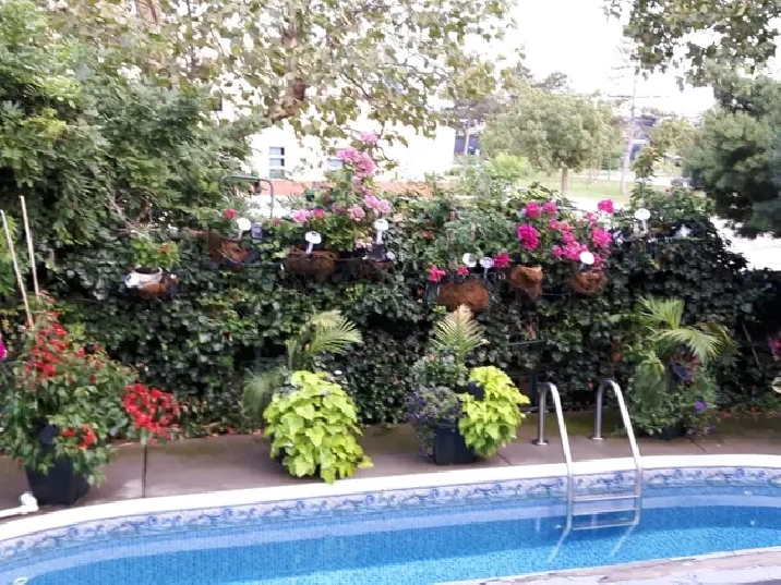 queensize private accomodations in exe  home with outdoor pool