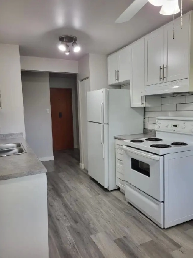 Newly Renovated 1 Bdrm Available for Rent April 6th