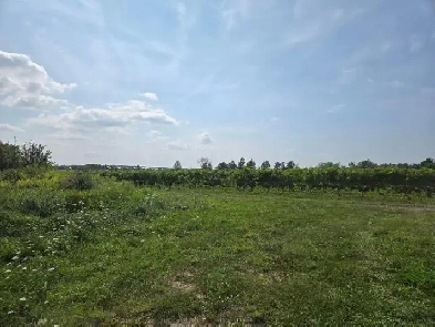 Vineyard Niagara On The Lake