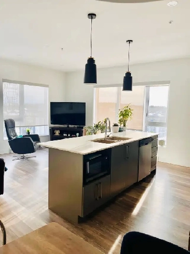 Apartement 4 1/2 à louer