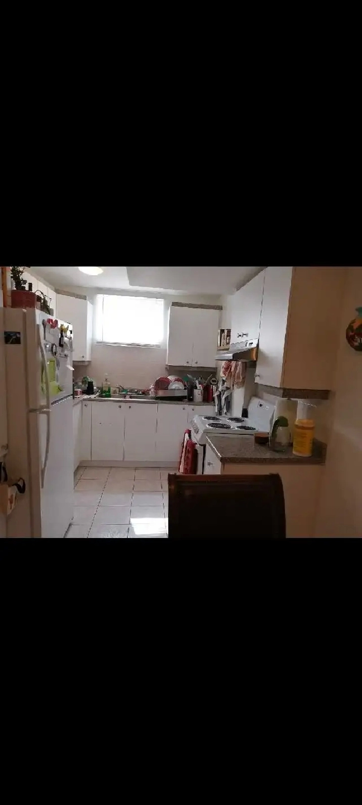 3 1/2 Rosemont sous sol juillet