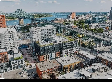 Condo 3 1/2 à louer (Esplanade Cartier - Phase 1) Montréal