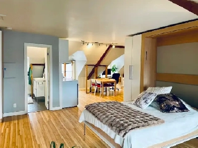 Loft appartement Vieux Québec $1,295 disponible immédiatement