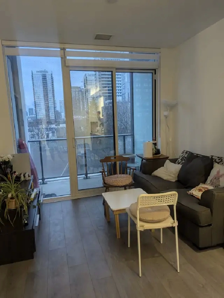 1 Bedroom with Private Bath for Rent – Downtown Condo (Avail