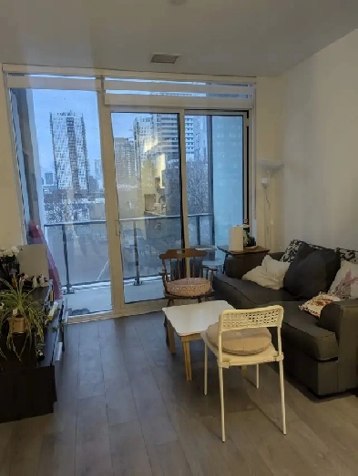 1 Bedroom with Private Bath for Rent – Downtown Condo (Avail