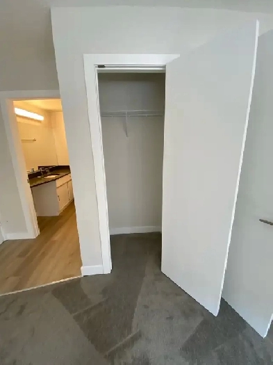 bachelor Beltline available now $1195