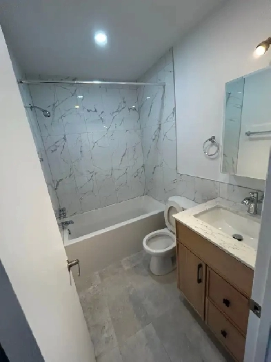 Large 3.5 fully renovated (heating, hot water, electricity incl)