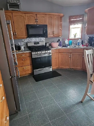 Bi level house for rent