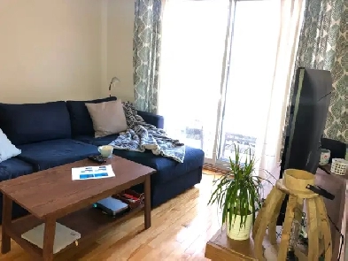 Grand 4 1/2 avec balcon, terrasse, jardin, Ahuntsic