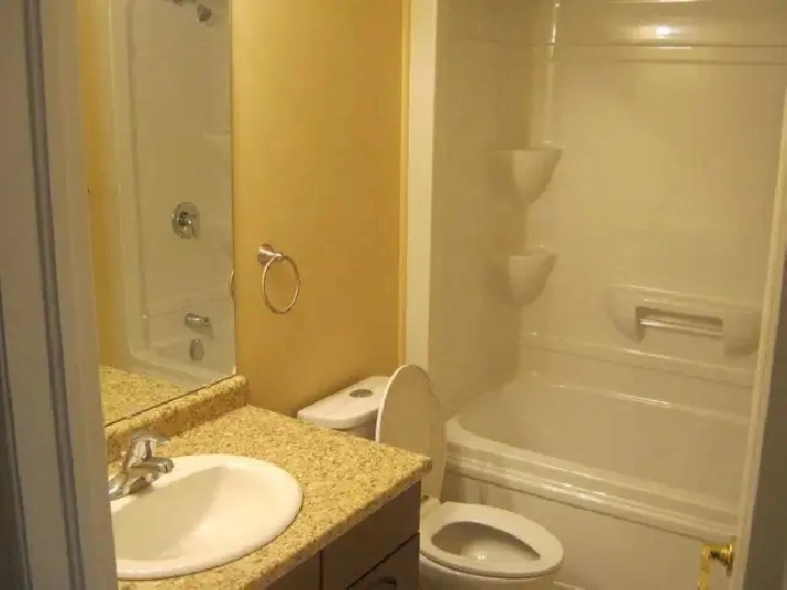 Stunning 3 Bedroom and 2 Washroom House is Available