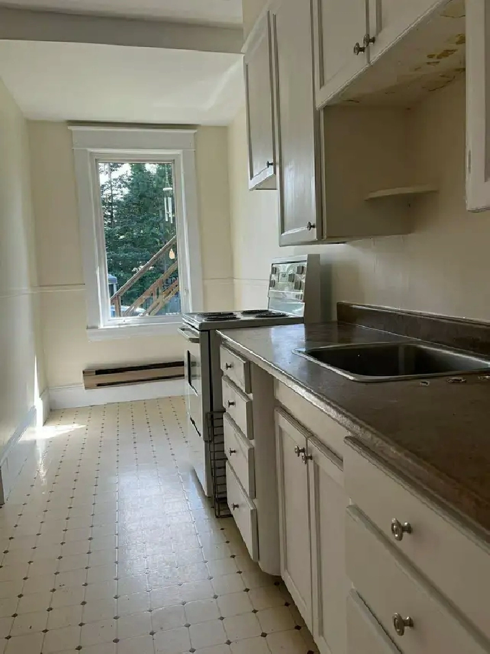 Cozy one bedroom apartment for rent