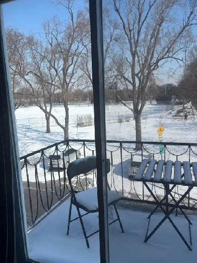 Beau 4 1/2 face au parc Beaubien a Rosemont