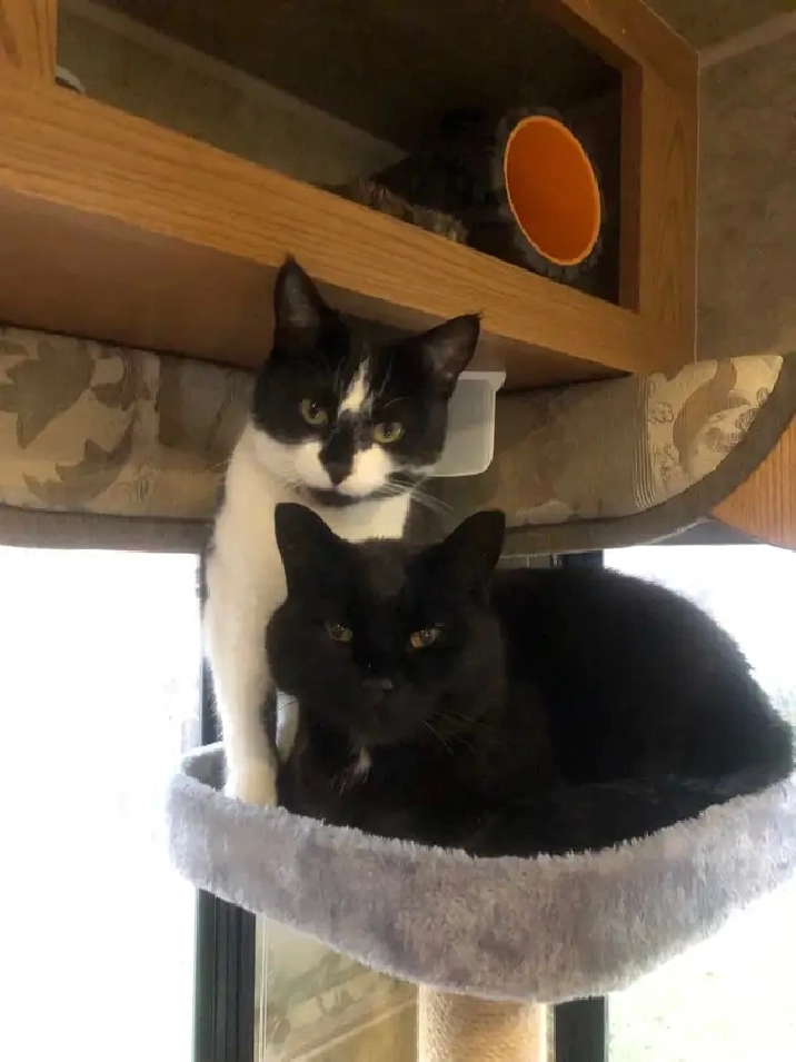 Rental or Acreage Needed