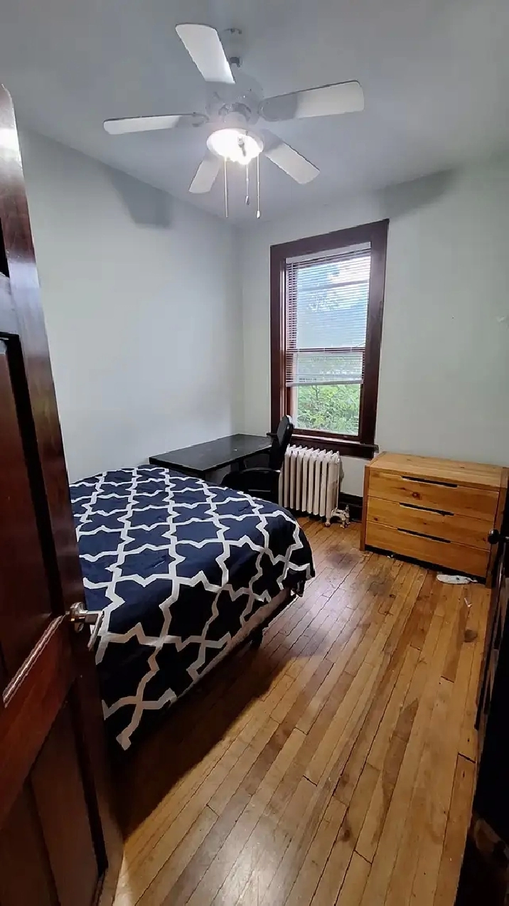 Sandy Hill (Stewart) furnished room All-incl price. Female Only