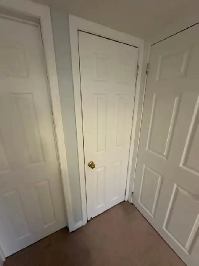 Basement apartment for rent