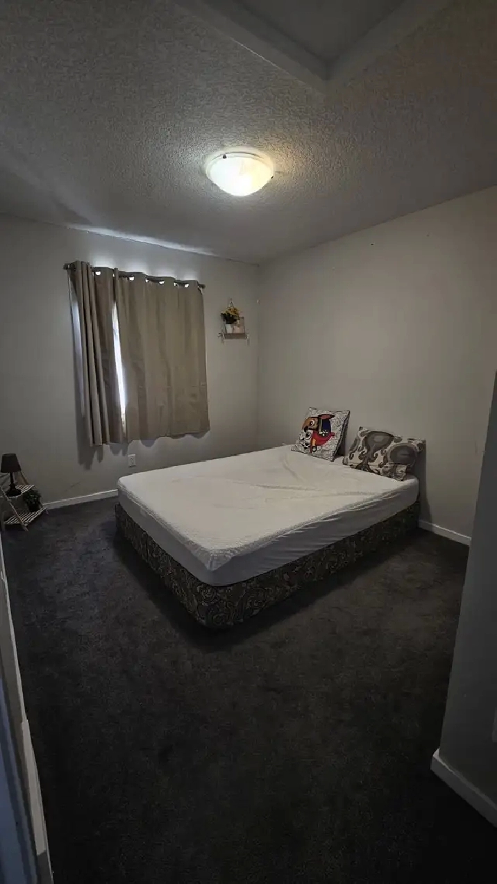 Private room for rent