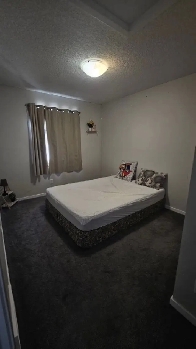 Private room for rent