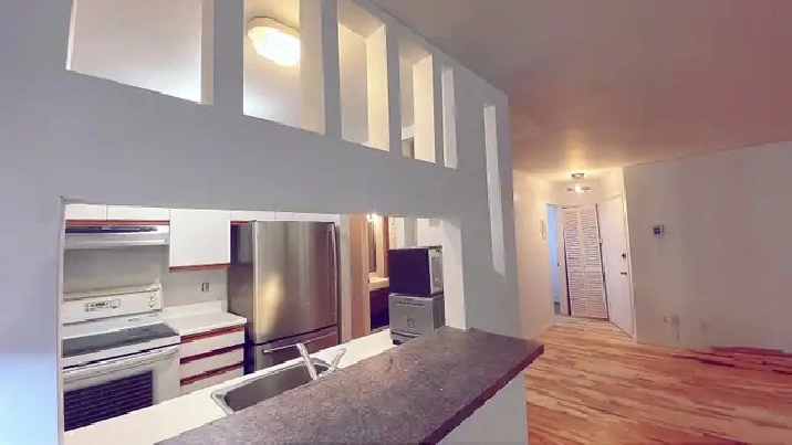 Montréal(VillleMarie,Village,métroBeaudry)LargeCondo41/2ForRent