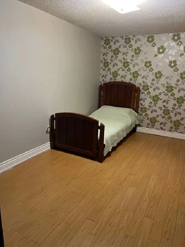 Large Furnished 2 Rooms Available Immediately – UTM