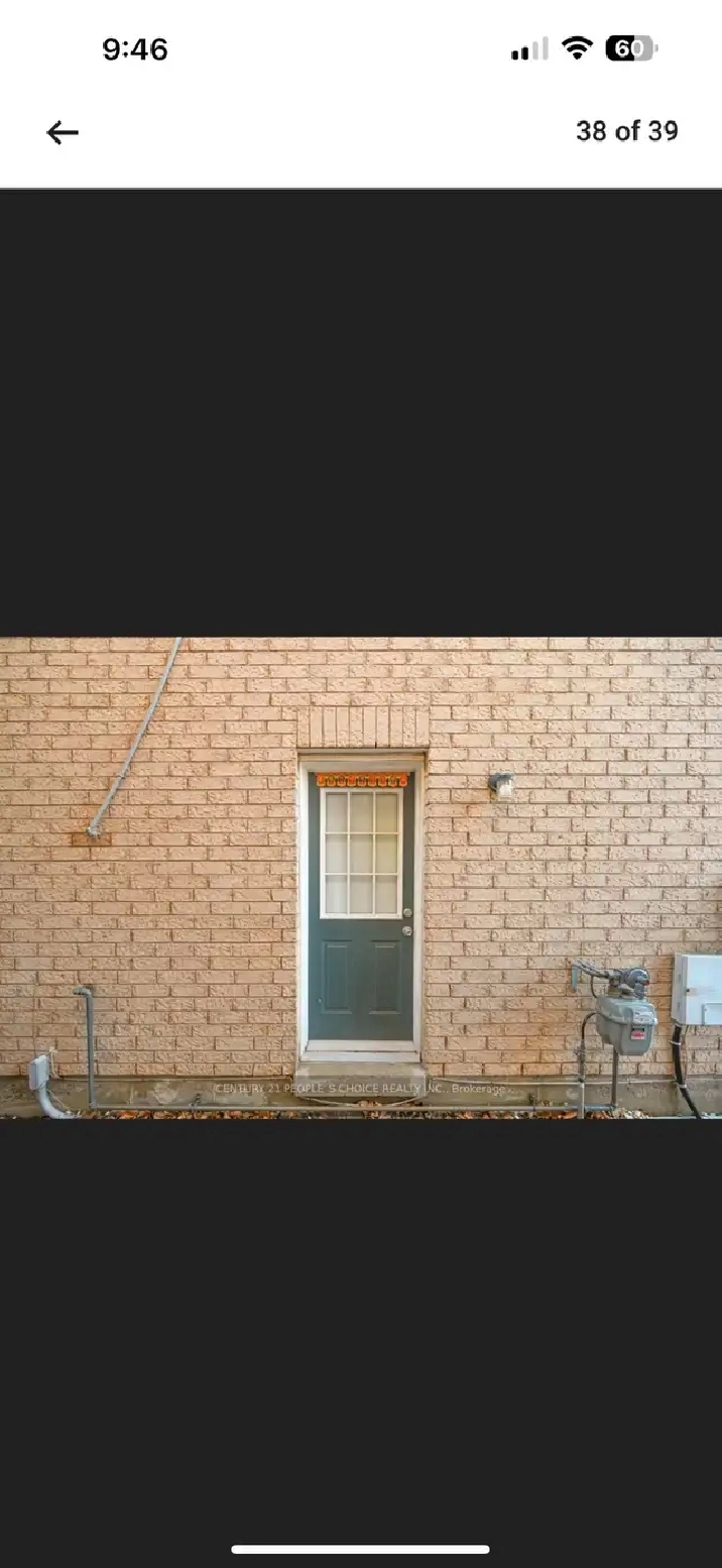 Studio Walkout Basement For Rent