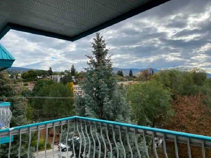 1 BEDROOM APARTMENT - PET FRIENDLY