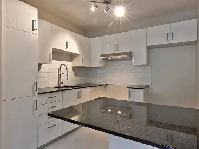 4 1/2 Style-Condo rénové à Verdun - Juillet - Internet inclus