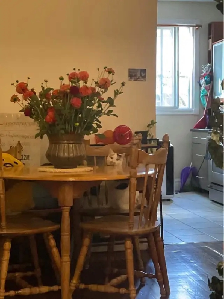 CESSION DE BAIL 3 1/2 dans Villeray (1er mai)