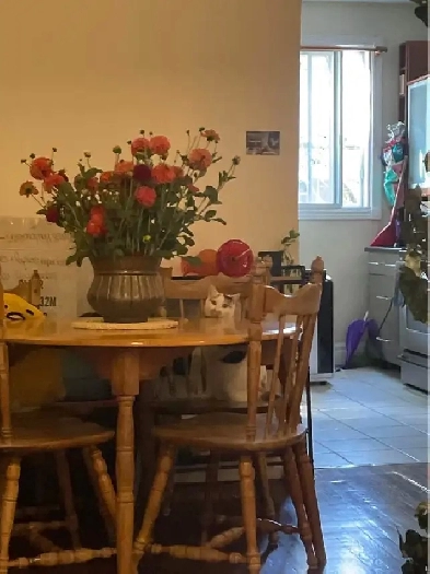 CESSION DE BAIL 3 1/2 dans Villeray (1er mai)