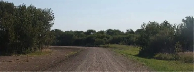 Bluebird Way rural residential