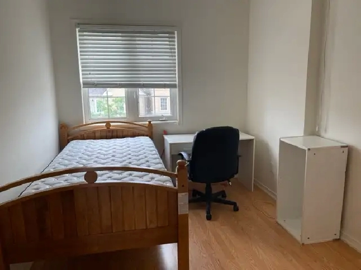 York University village for room rent.