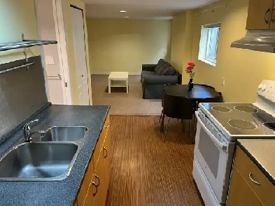 Renovated,quiet,spacious garden-level suite.very close to King E