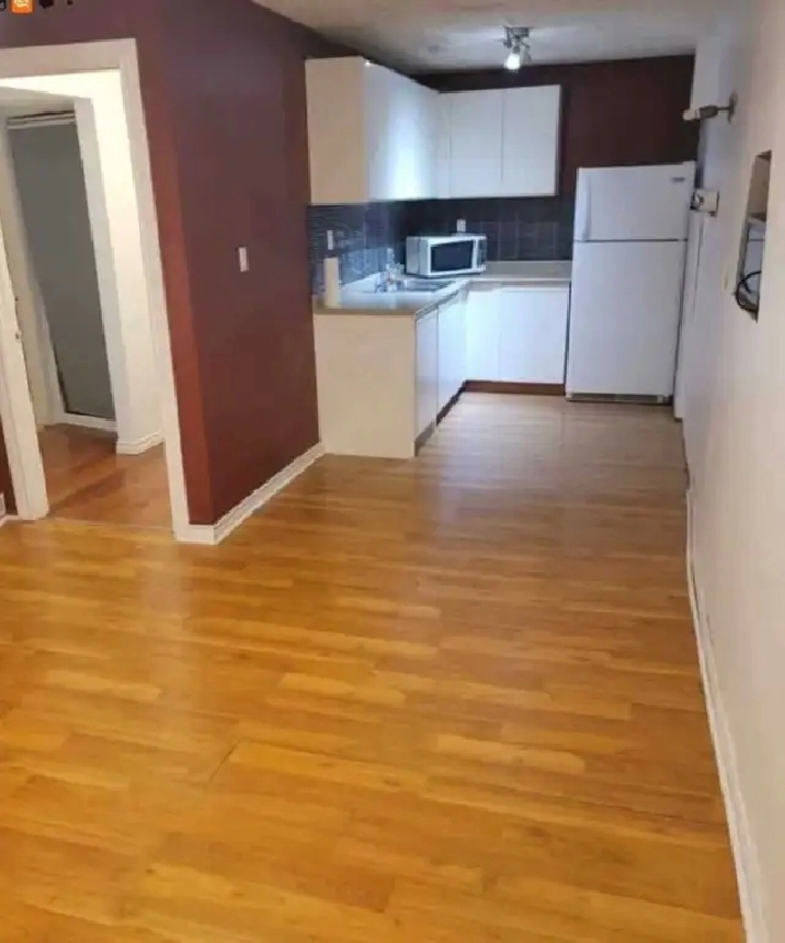 BEAUTIFULL 1 BEDROOM BASEMENT APARTMENT FOR RENT