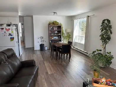 Logement 4 1/2 Val-Bélair