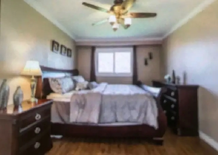 one bedroom at Victoria Park and Finch