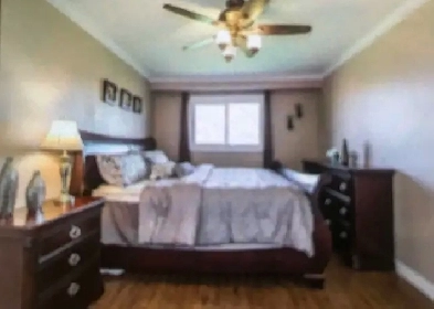 one bedroom at Victoria Park and Finch