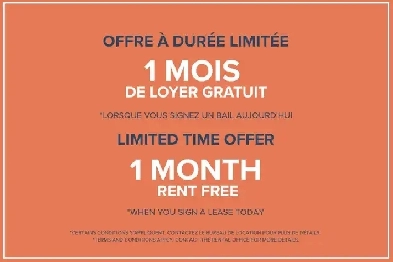 The 1350 Dufort Apartments - 1 Bedroom, Montreal Apt for Rent